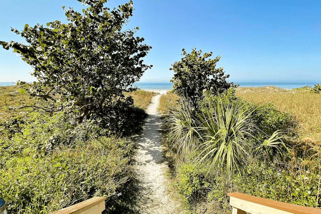 Reflections on the Gulf - Image 32