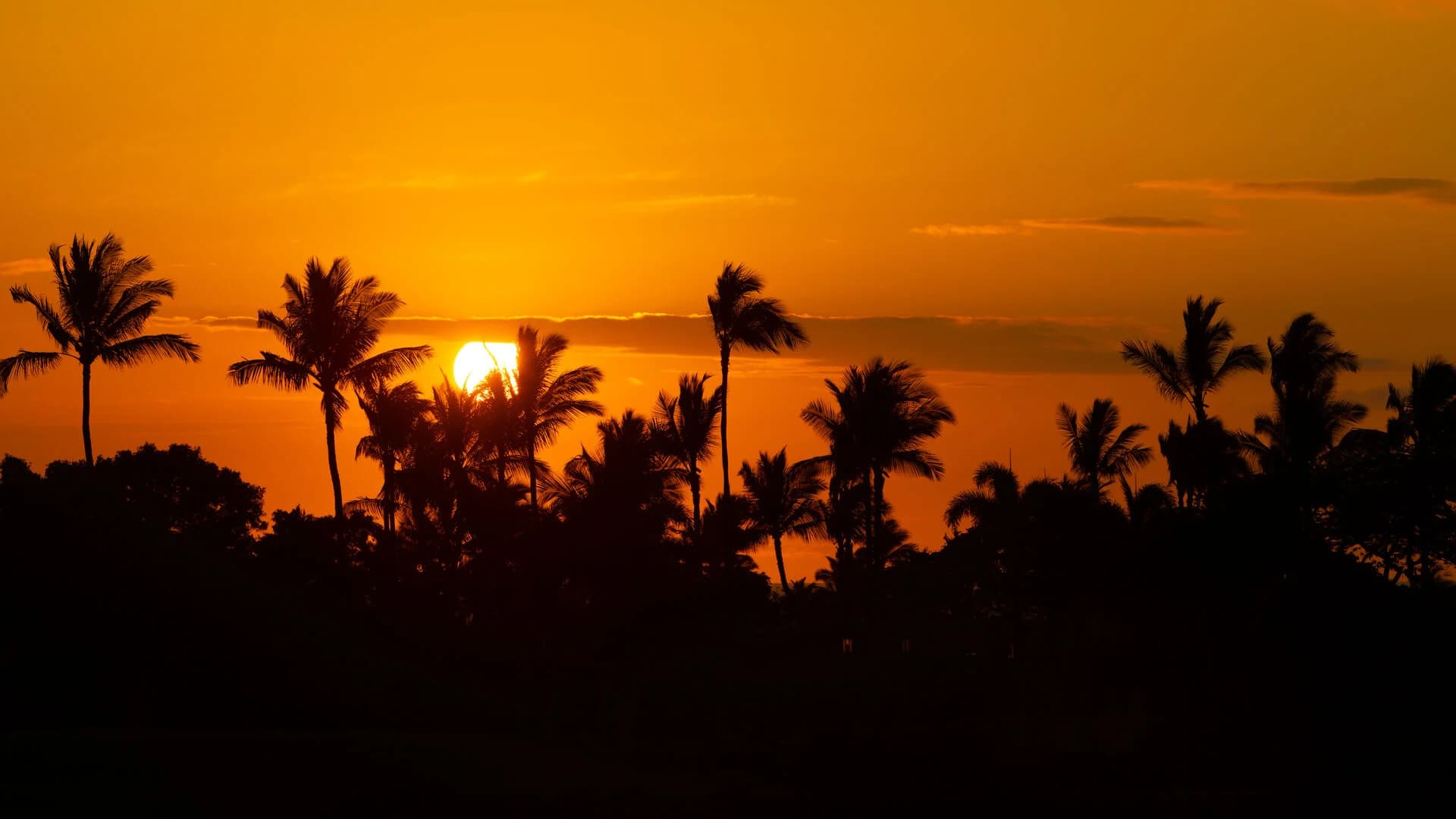 Elegant Escape - Image 74