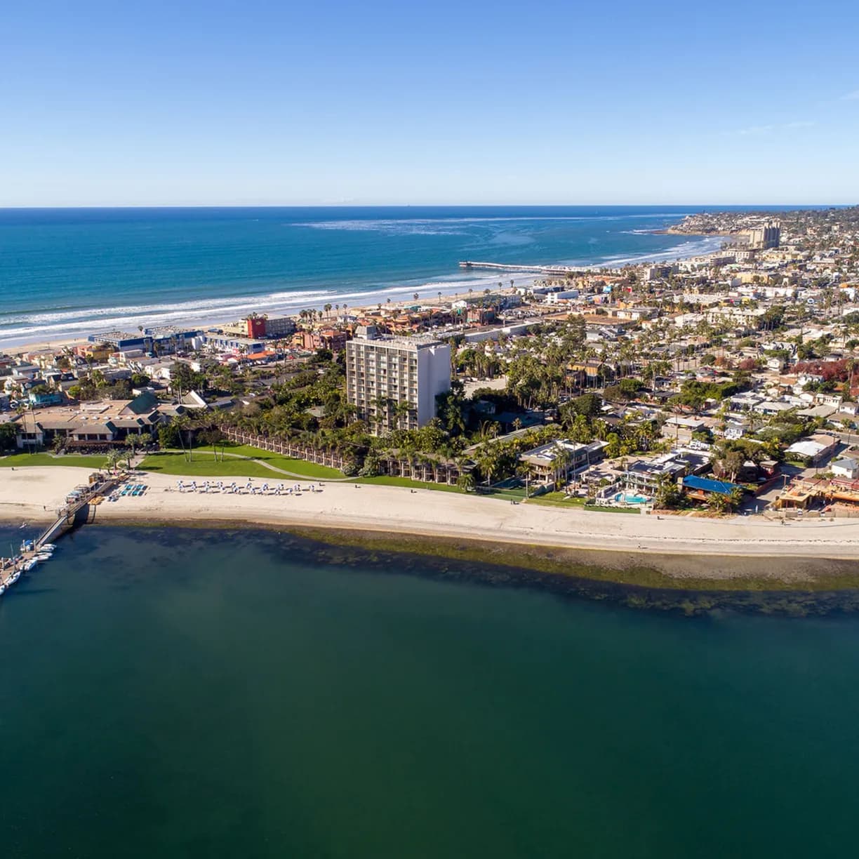 Endless Summer - Image 21