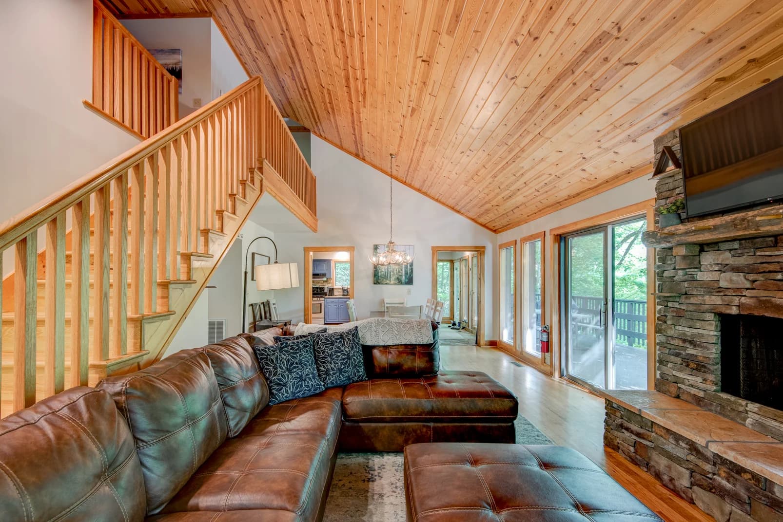 Paws a While - Image 8