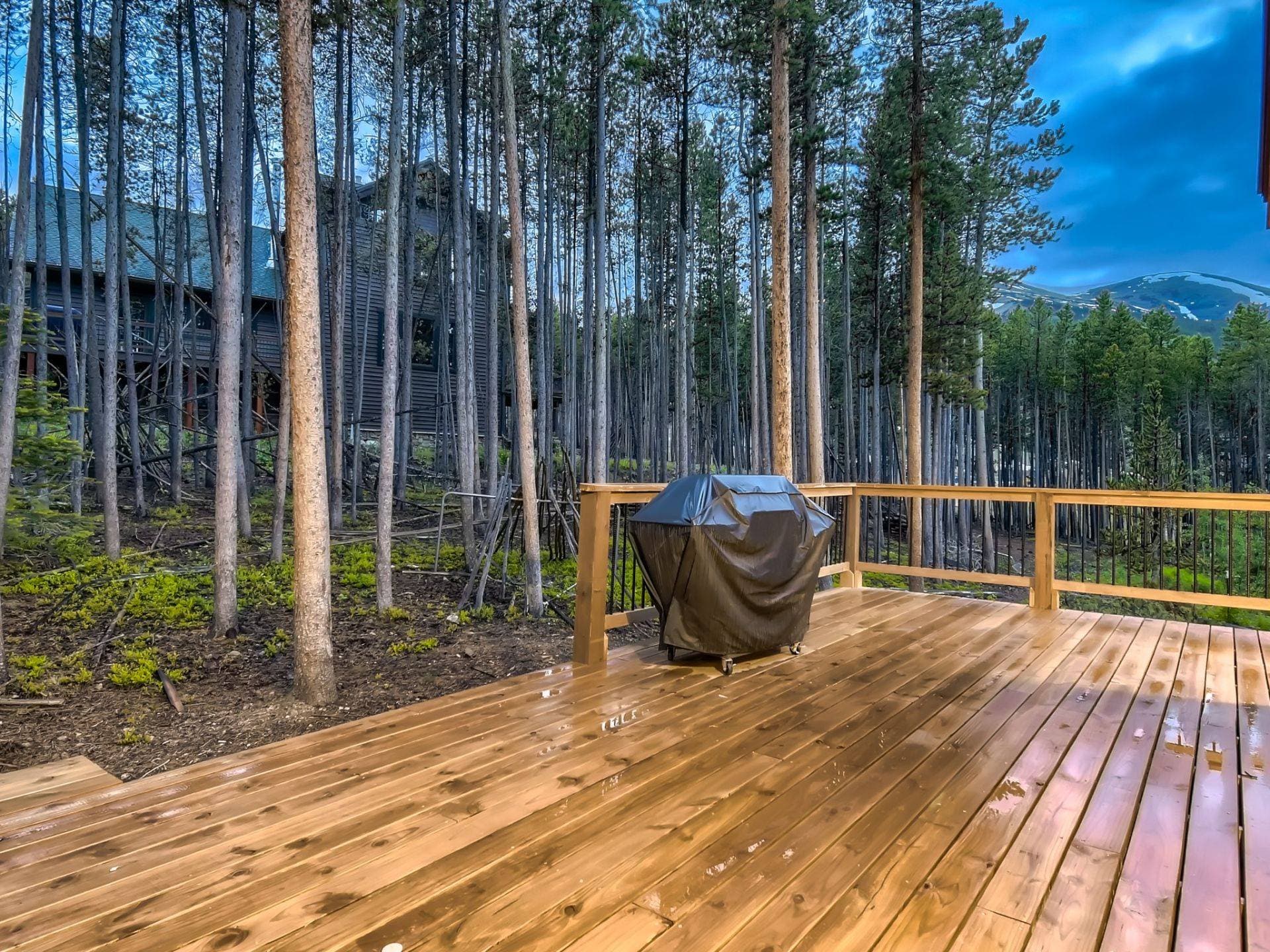 Breck Lodge House - Image 28