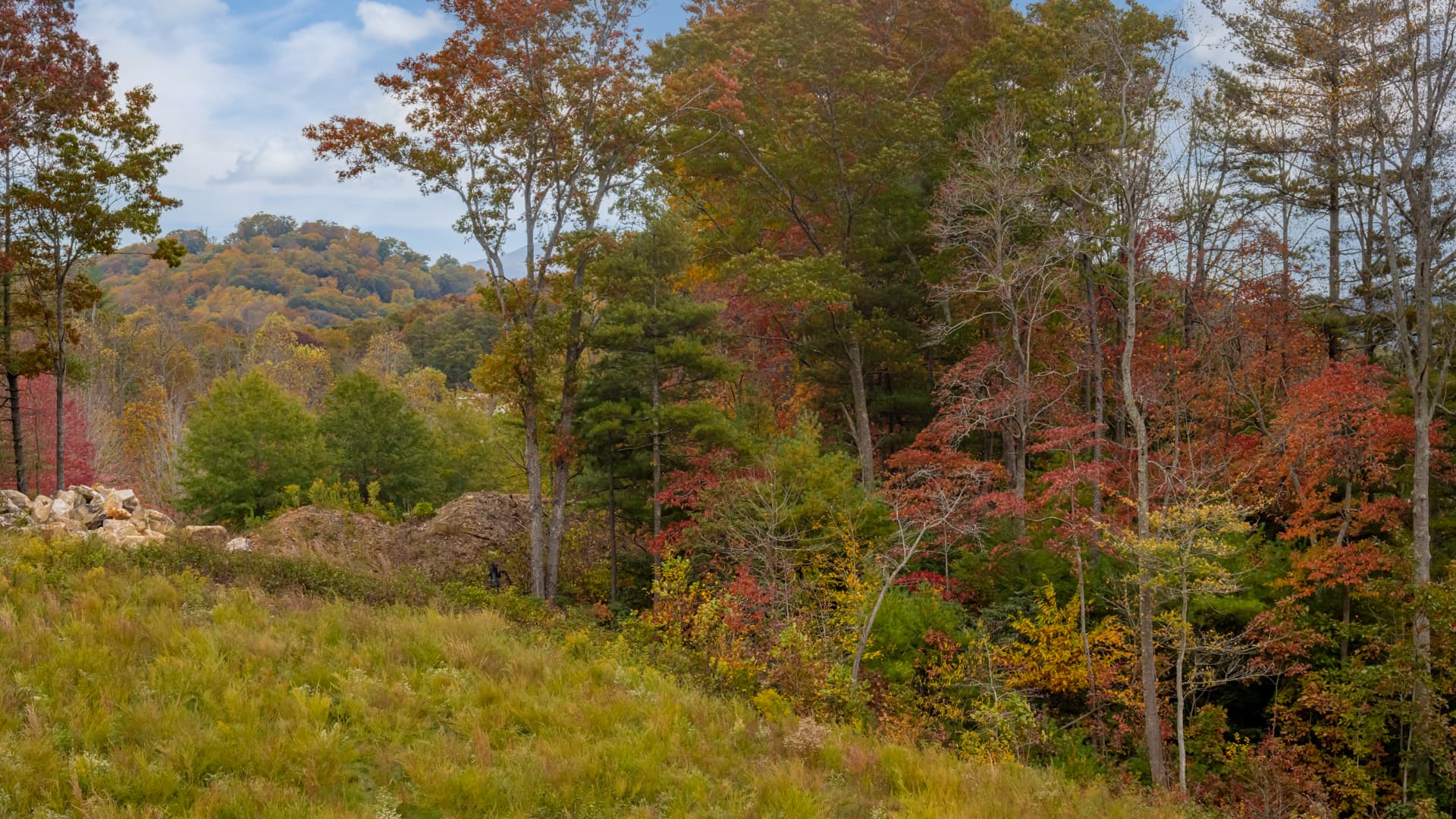 Duncan Home - Image 55