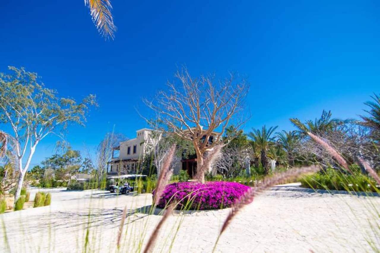 Coco Palma - Image 8