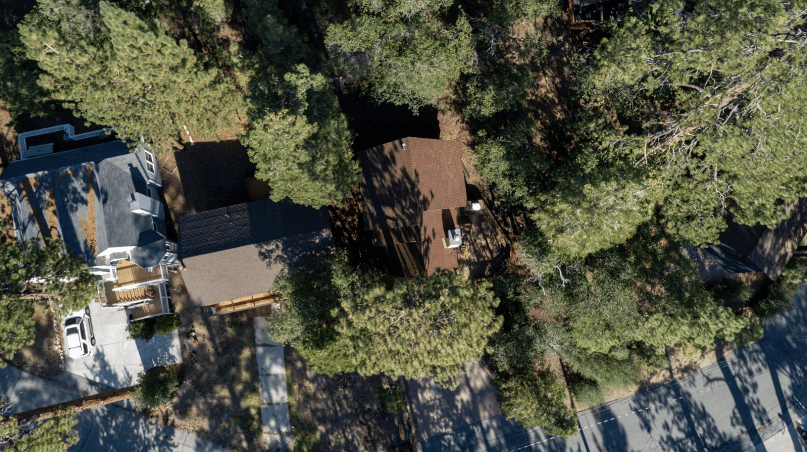 Bear's Lair - Image 28