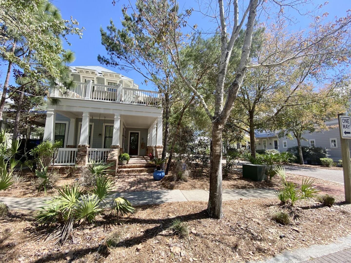 Longleaf Pines - Image 29