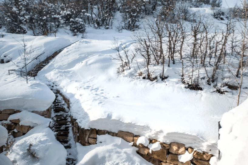 Dutch Draw Estate - Image 32