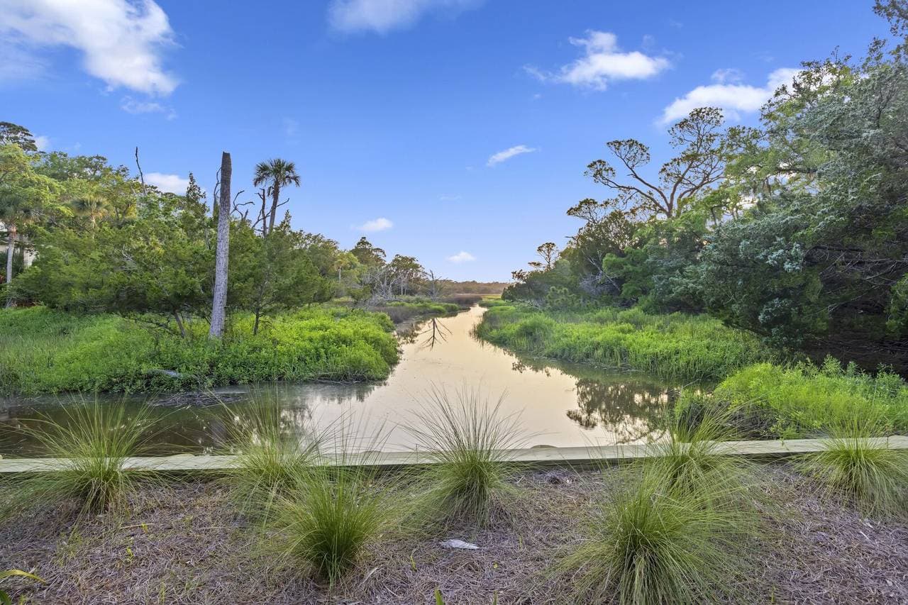 Otter Island Getaway - Image 57