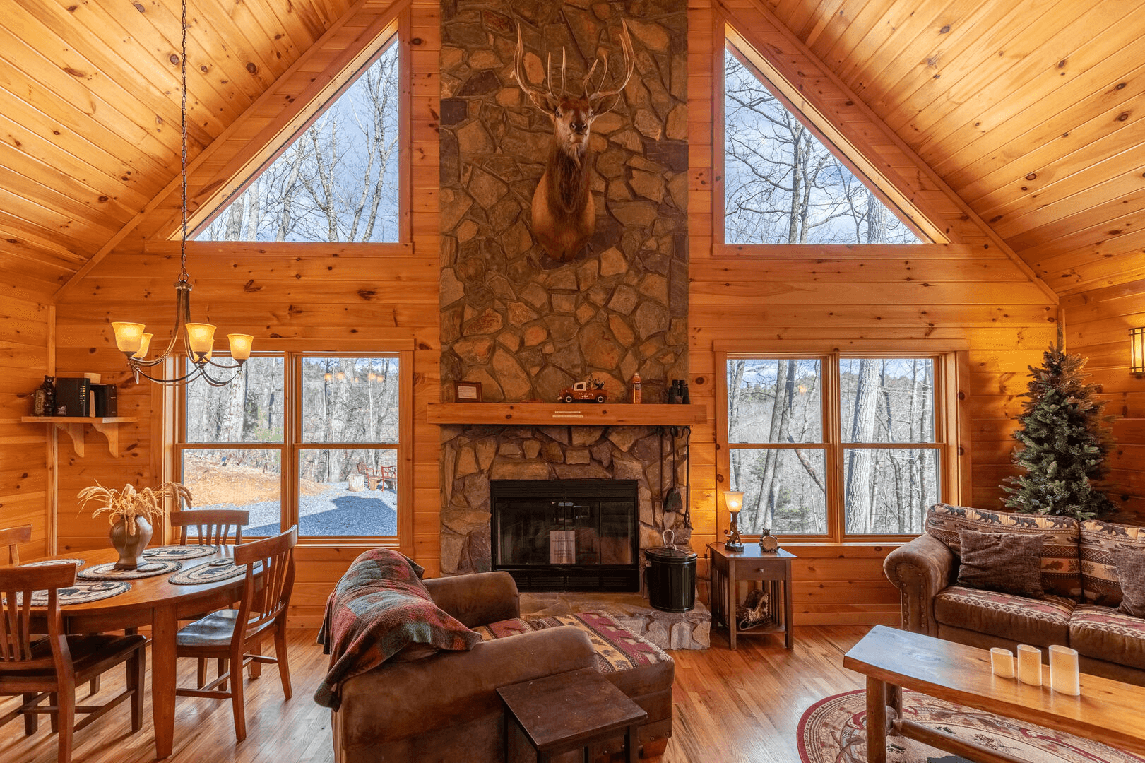 Bearadise at Blue Ridge - Image 6