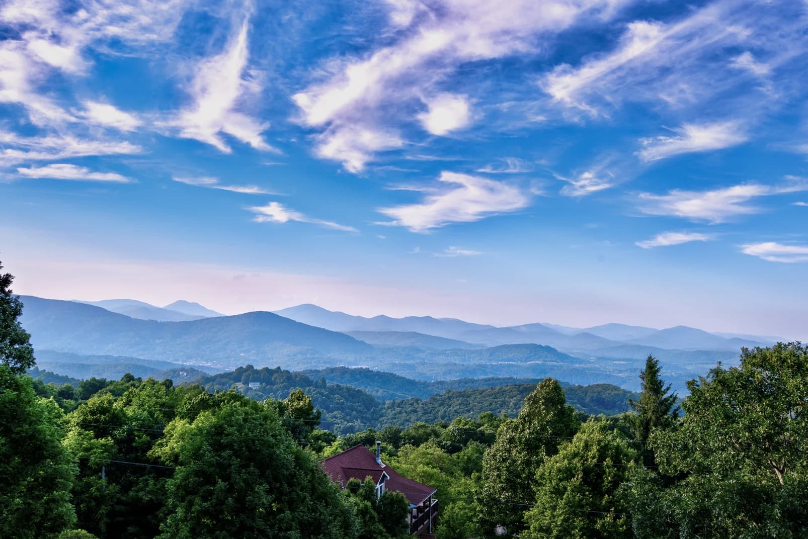 Aussies Den - Image 5