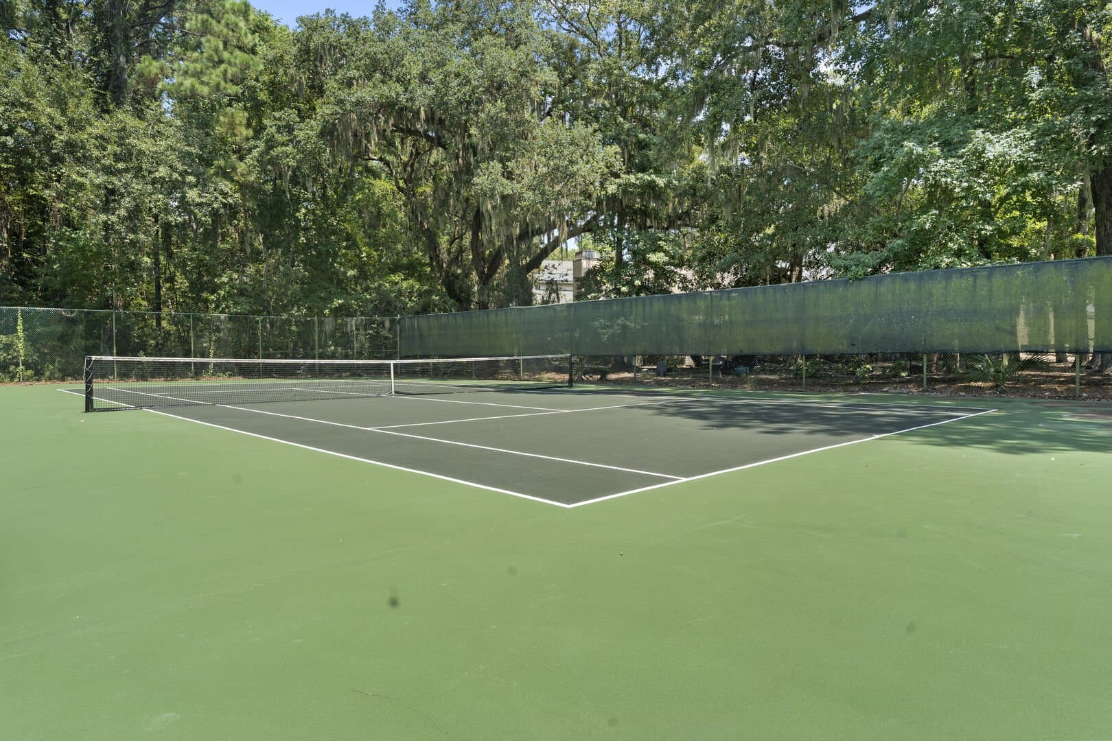 Sweet Carolina - Image 40