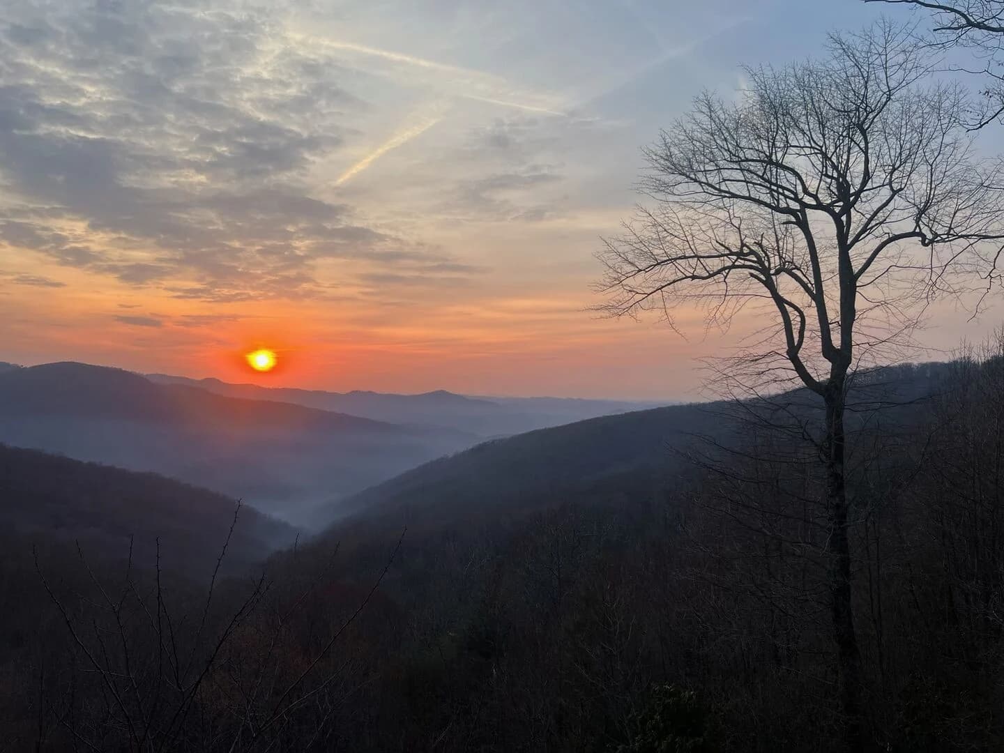 Owls Nest - Image 27