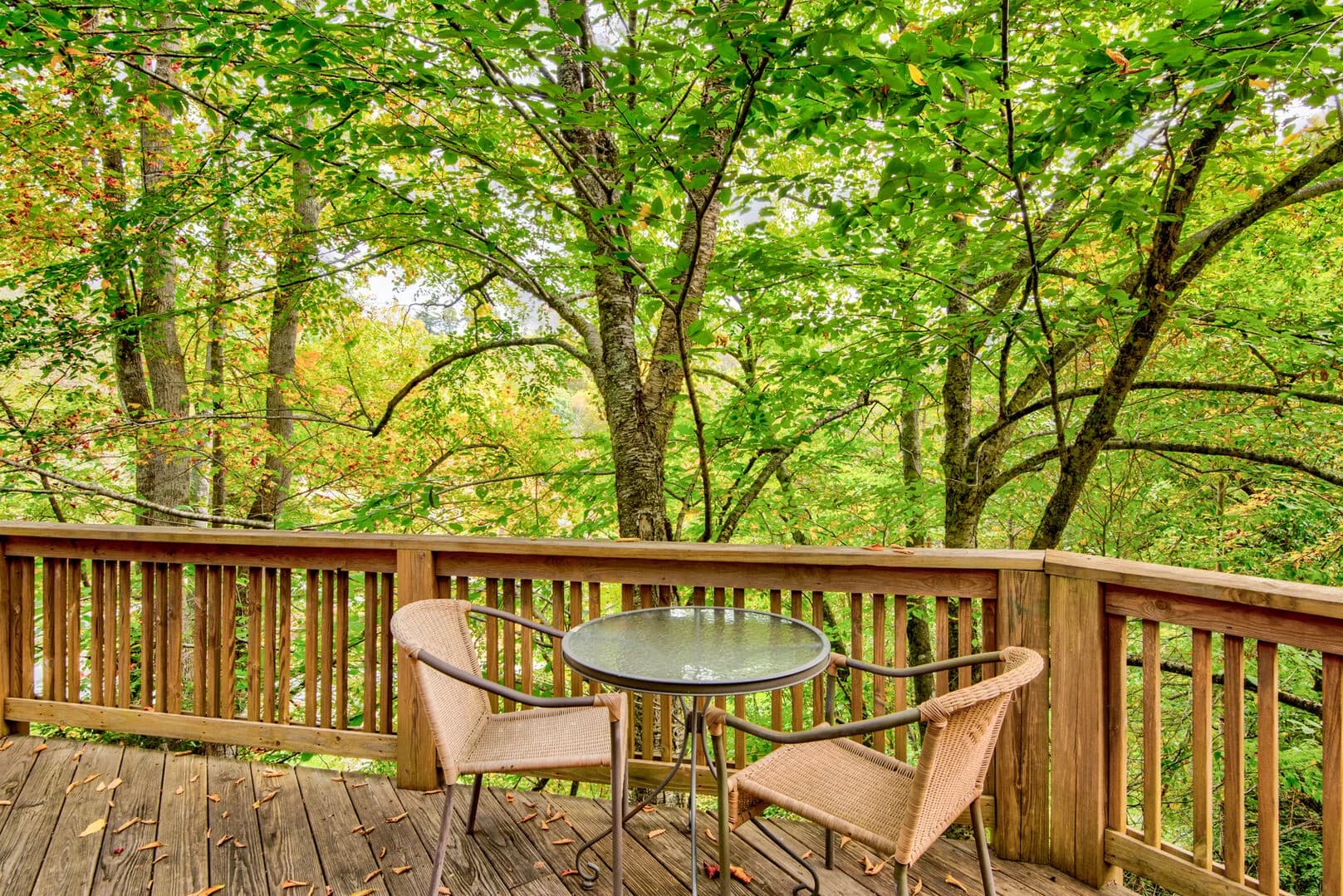 Tree House at Echota - Image 37
