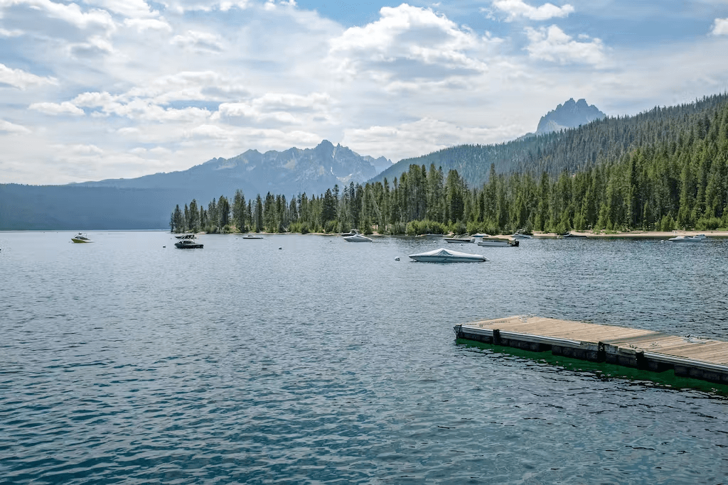 Wildflower Luxury - Image 43