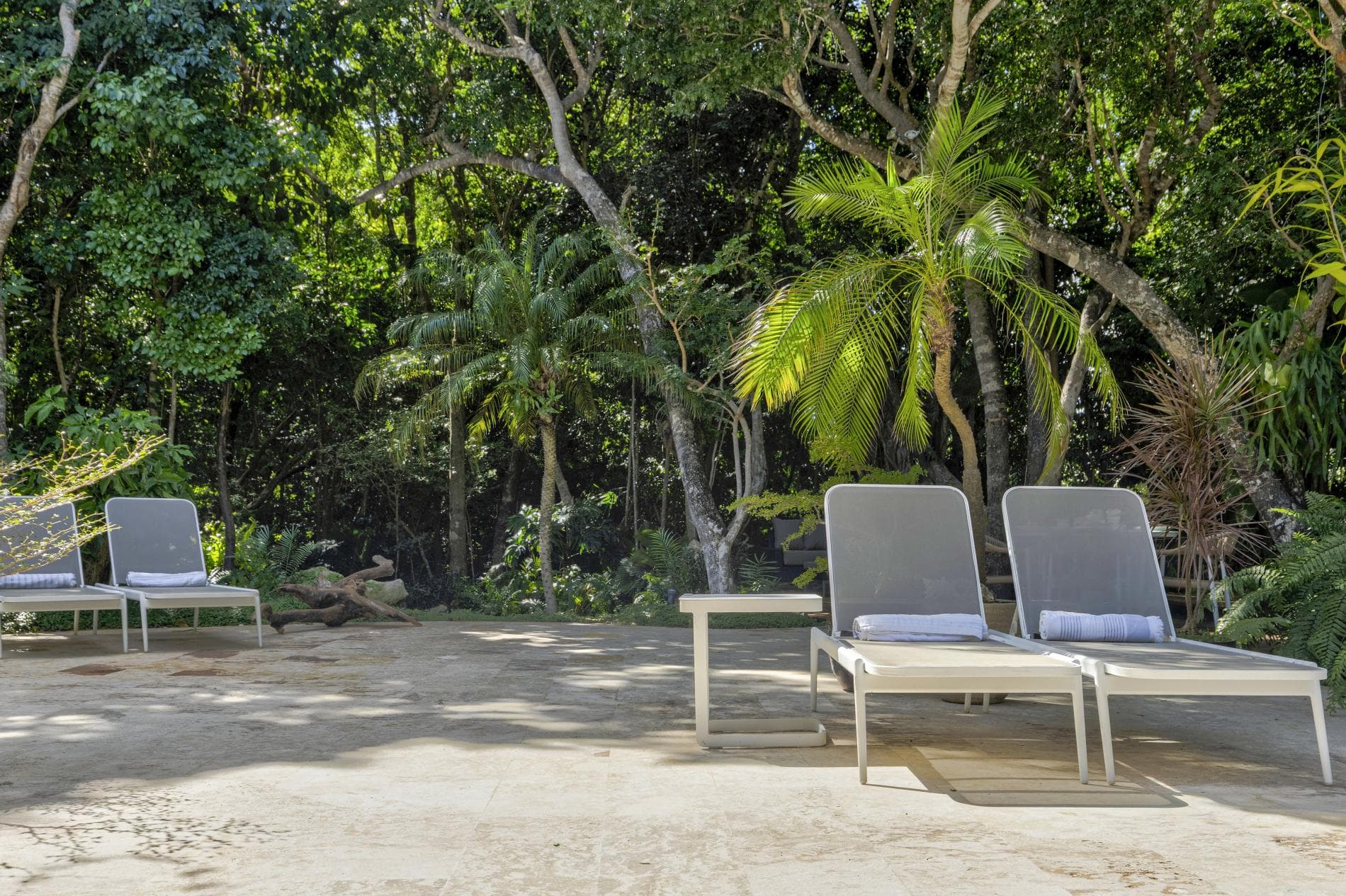 Tortuga #B55 - Image 30