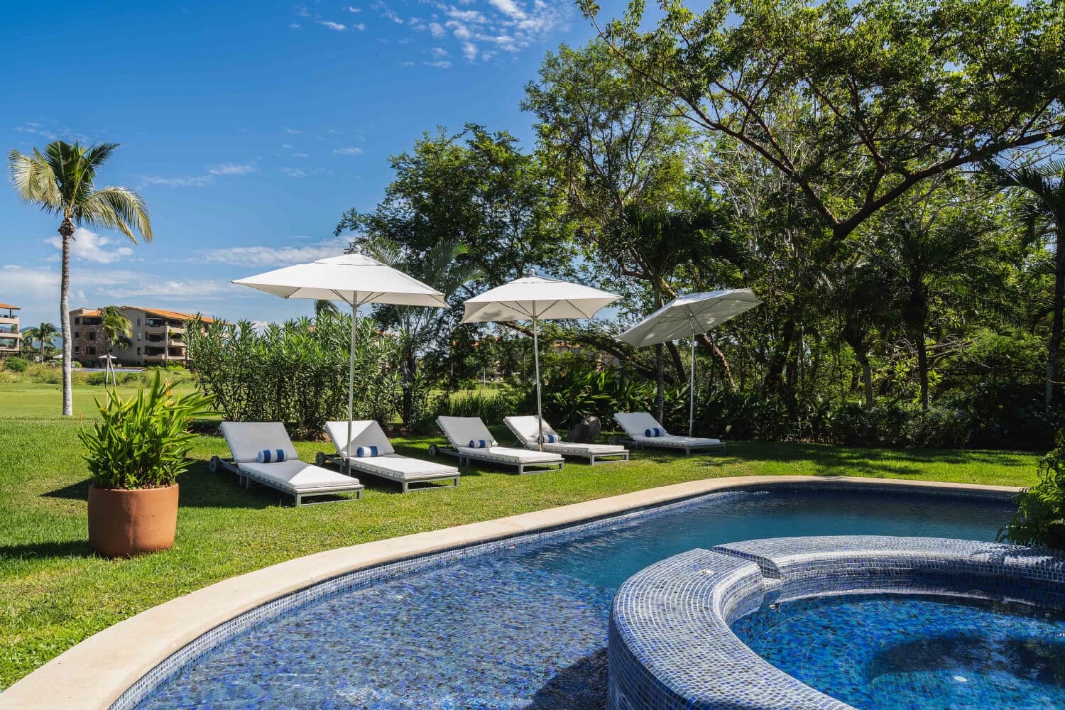 La Serenata - Image 3