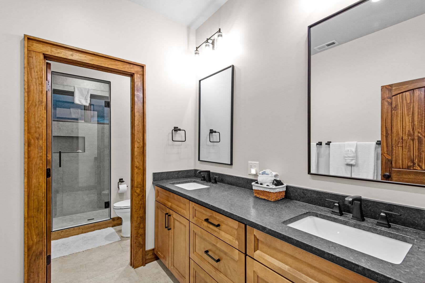 Dire Wolf at Eagles Nest - Image 37