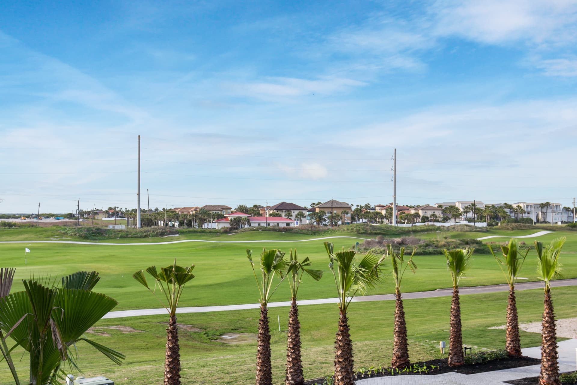 Deep Sea Parrot - Image 25