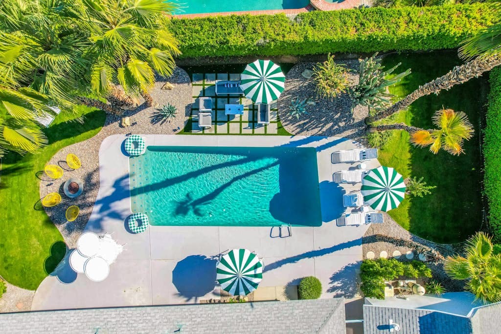 The Dexter - Image 2