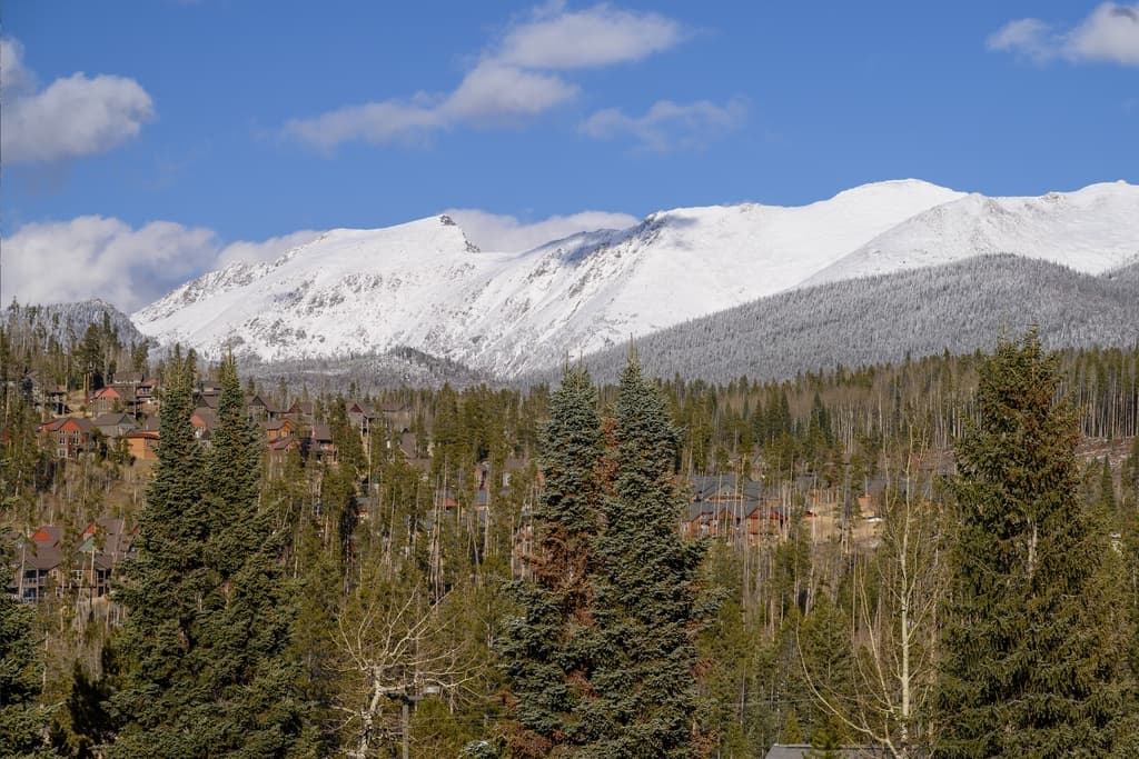 Continental Vista Condo - Image 6