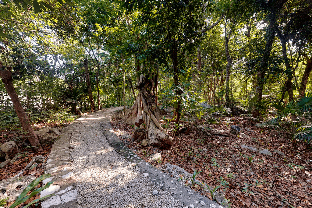 Blissful Haven - Image 39