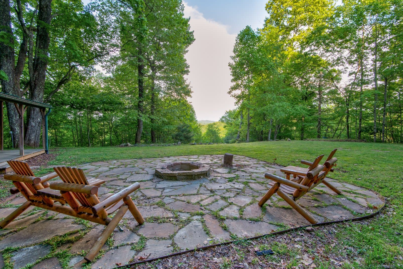 Paws a While - Image 5