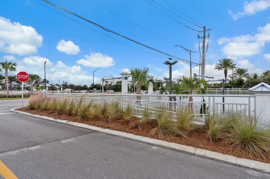 Coastal Canopy - Image 64