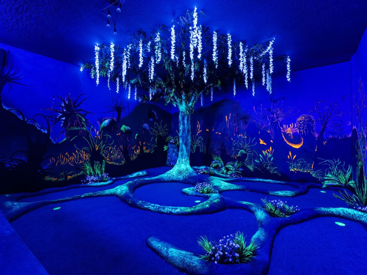 Floridian Estate - Image 10