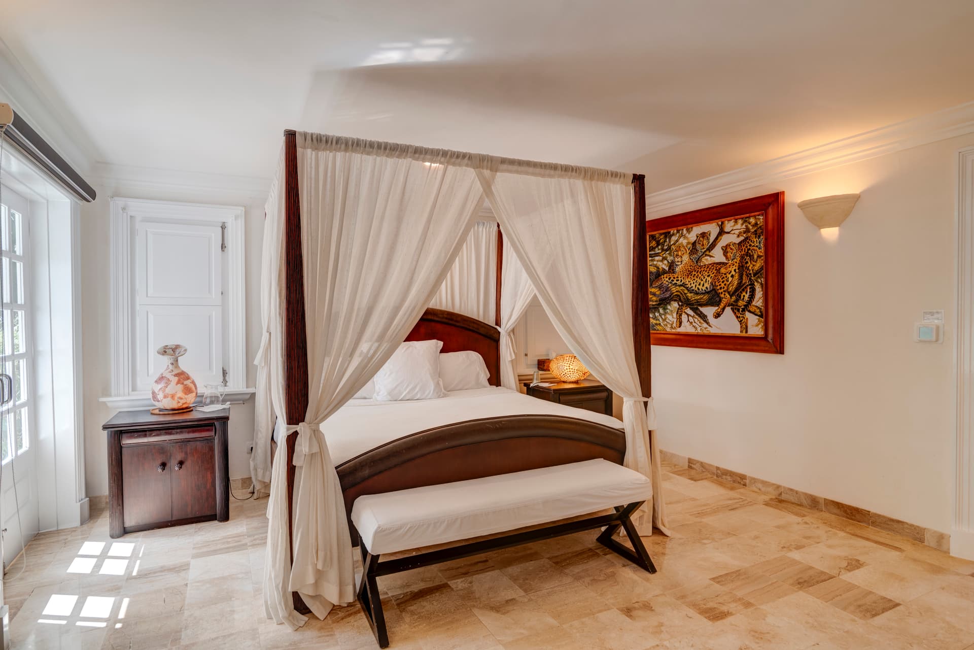 Tortuga #B28 - Image 6