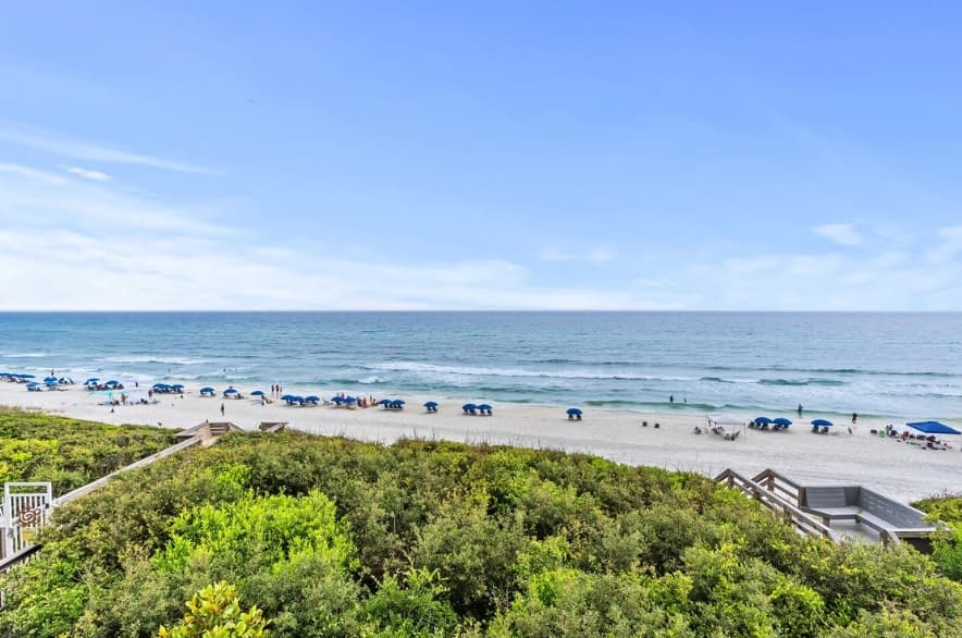 Grovey by the Sea - Image 31