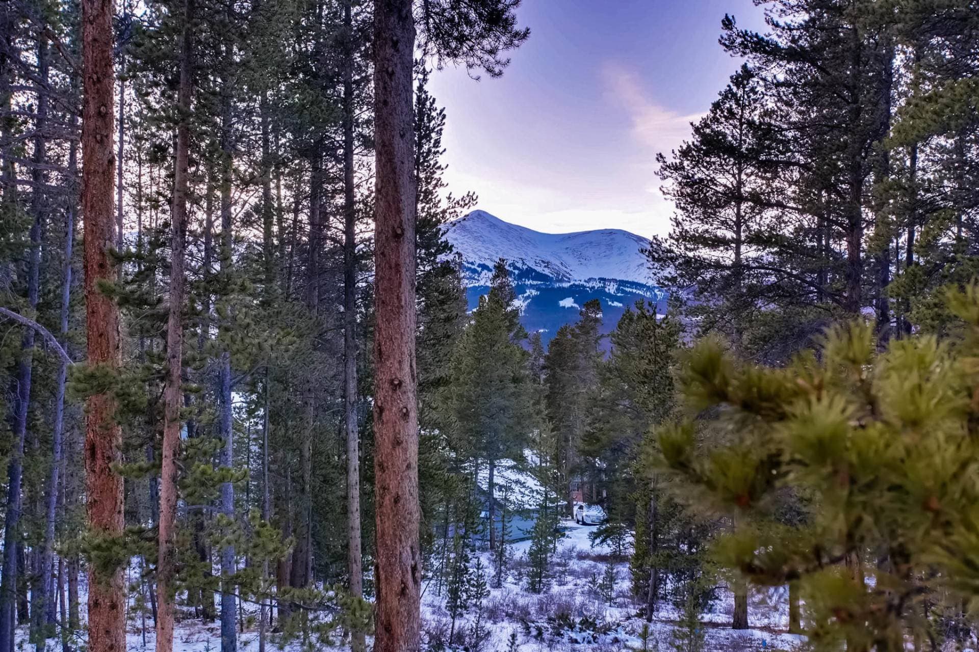 Pine Crest Place - Image 43