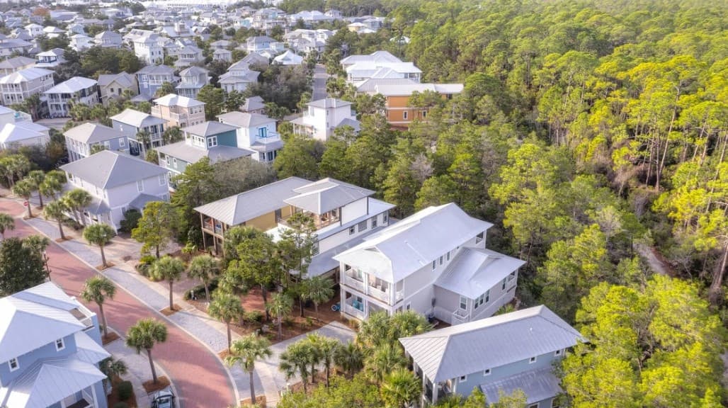 No Shady Beaches - Image 28