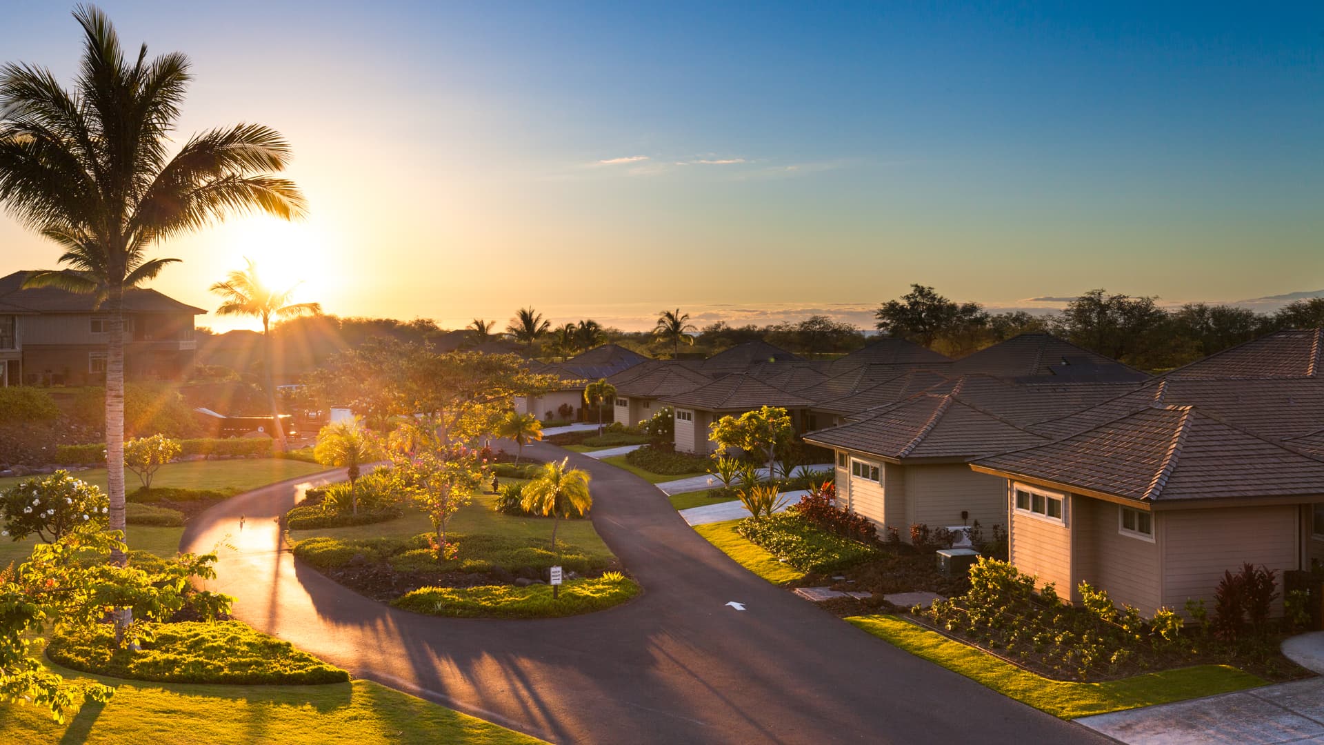 Ohana Spirit - Image 39