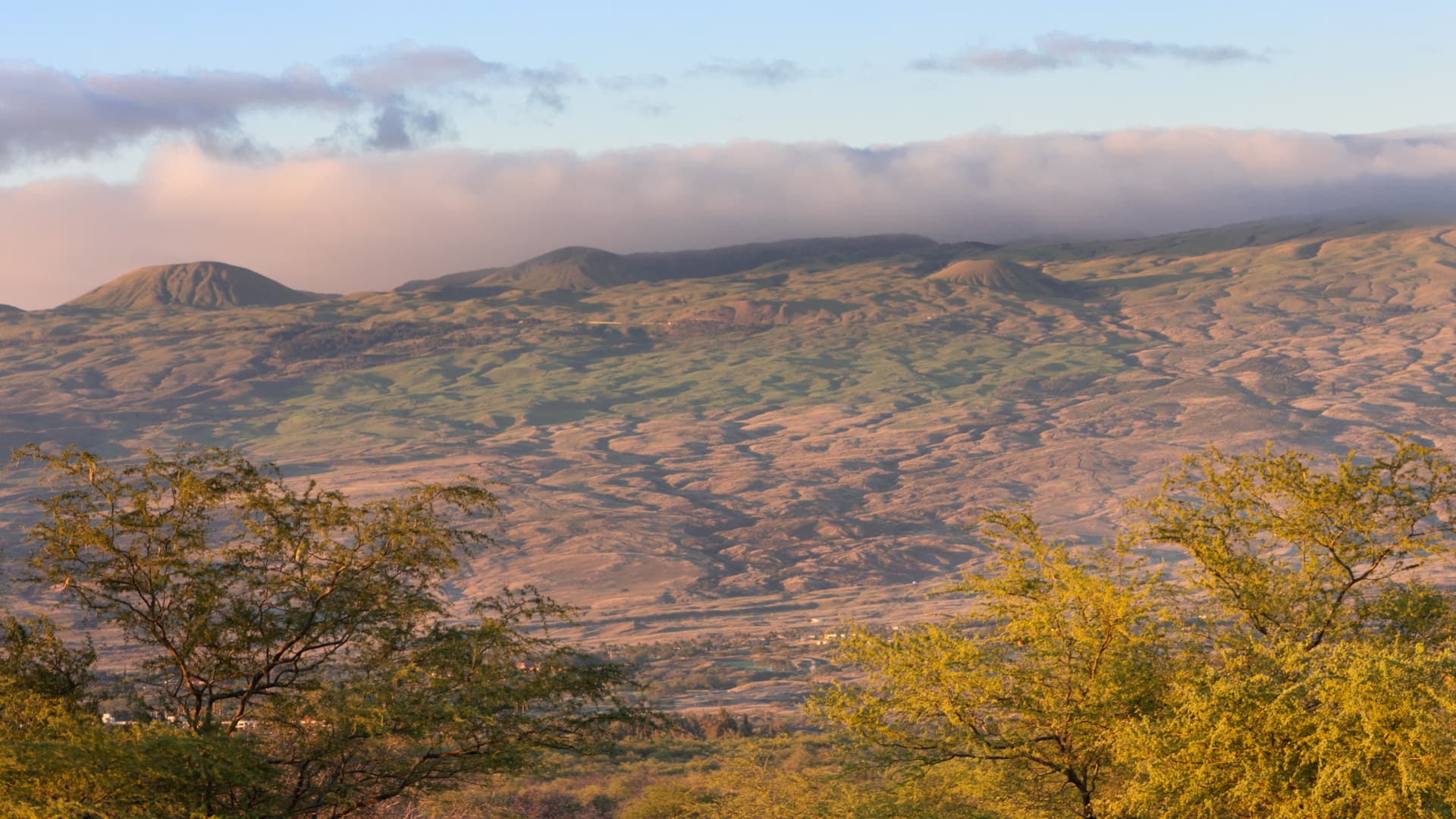 Ohana Spirit - Image 57