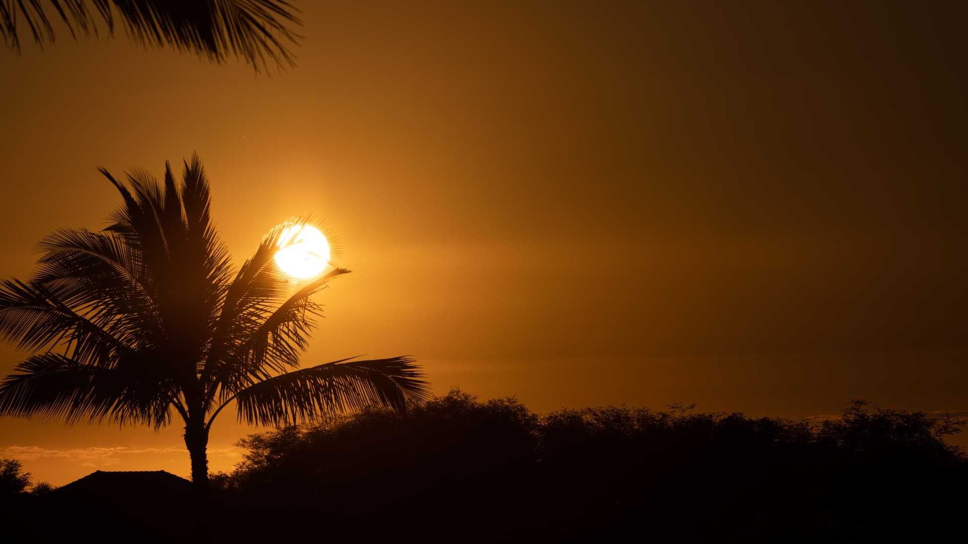 Ohana Spirit - Image 58