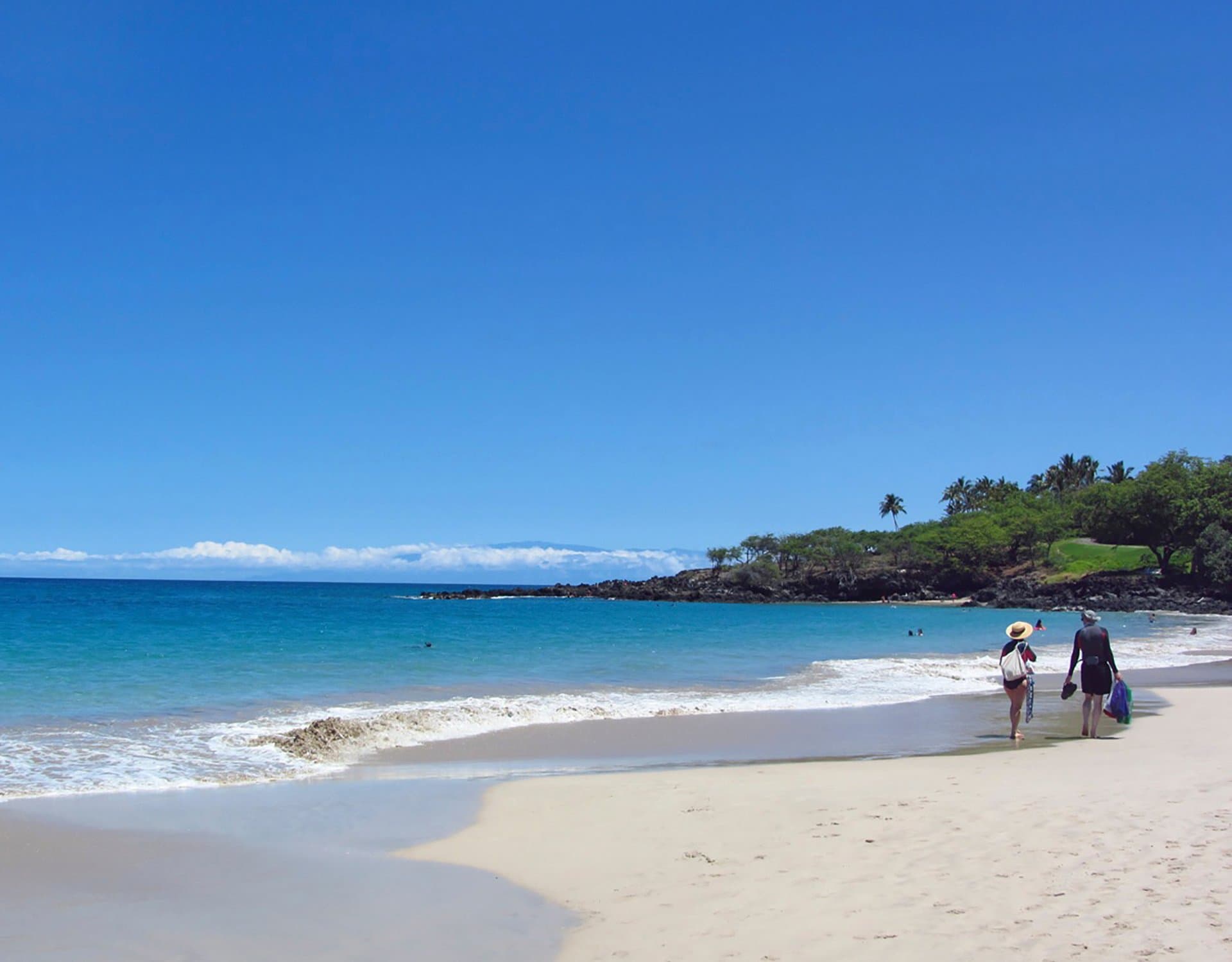 Ohana Spirit - Image 62