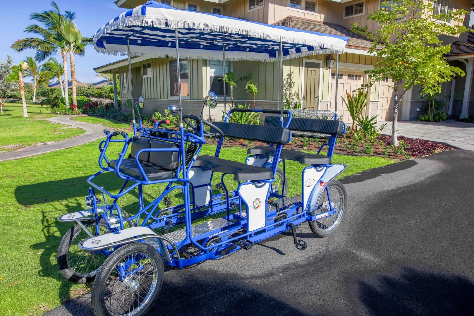 Flora Paradise - Image 36