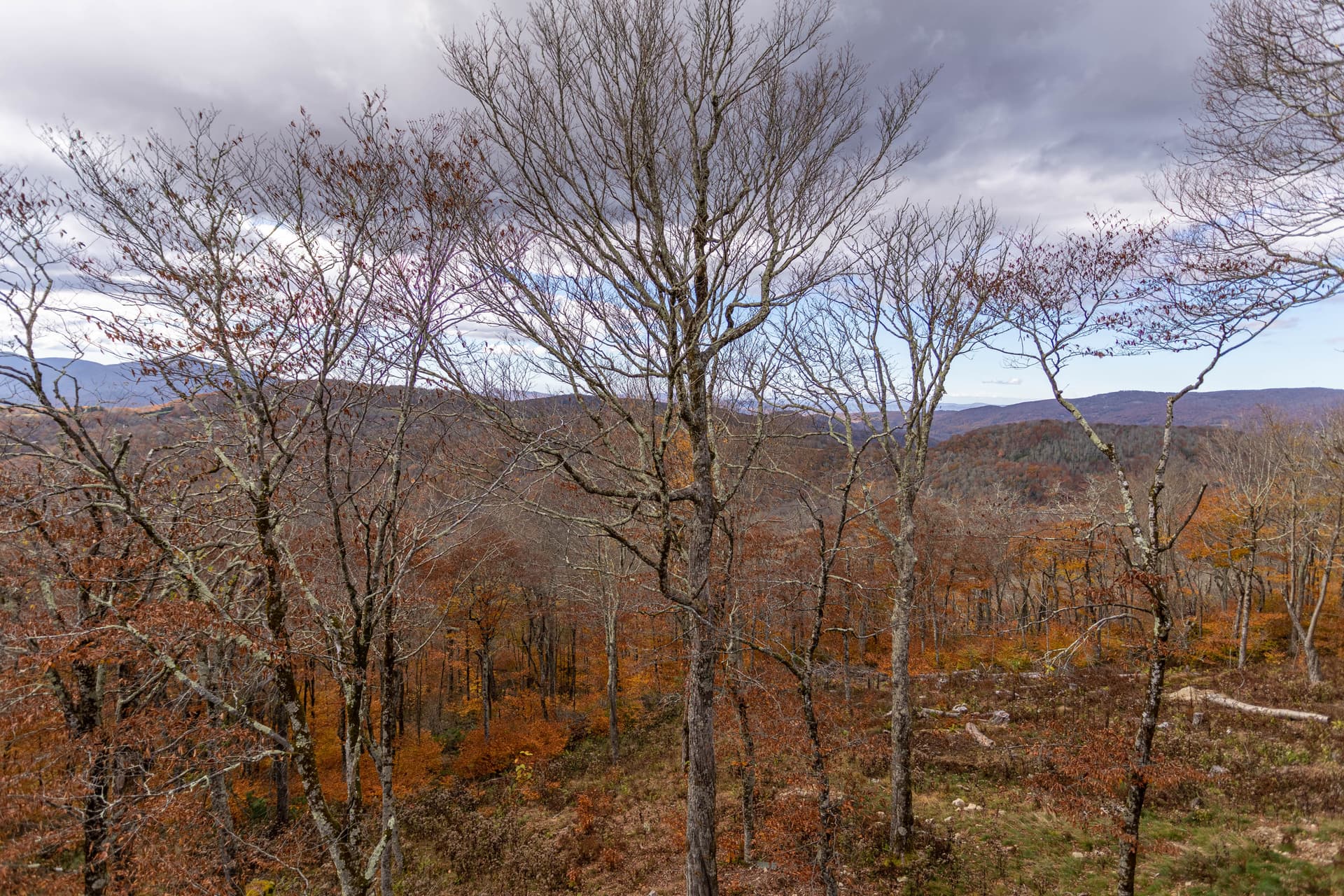 On the Rocks Home - Image 30