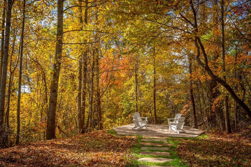 Falcon Ridge - Image 62