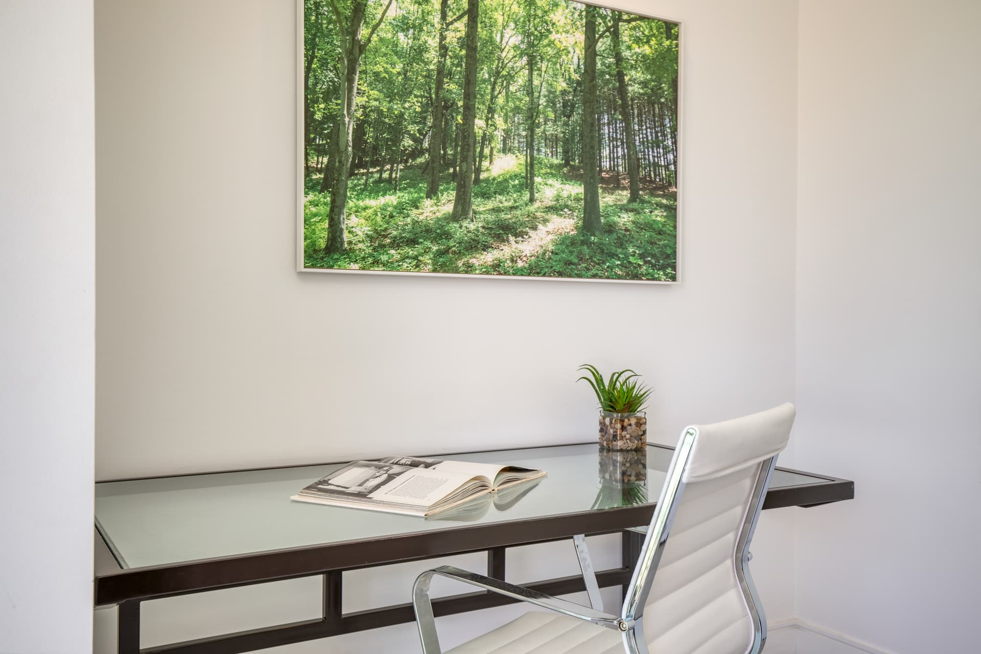 Polo Villa #3 - Image 15