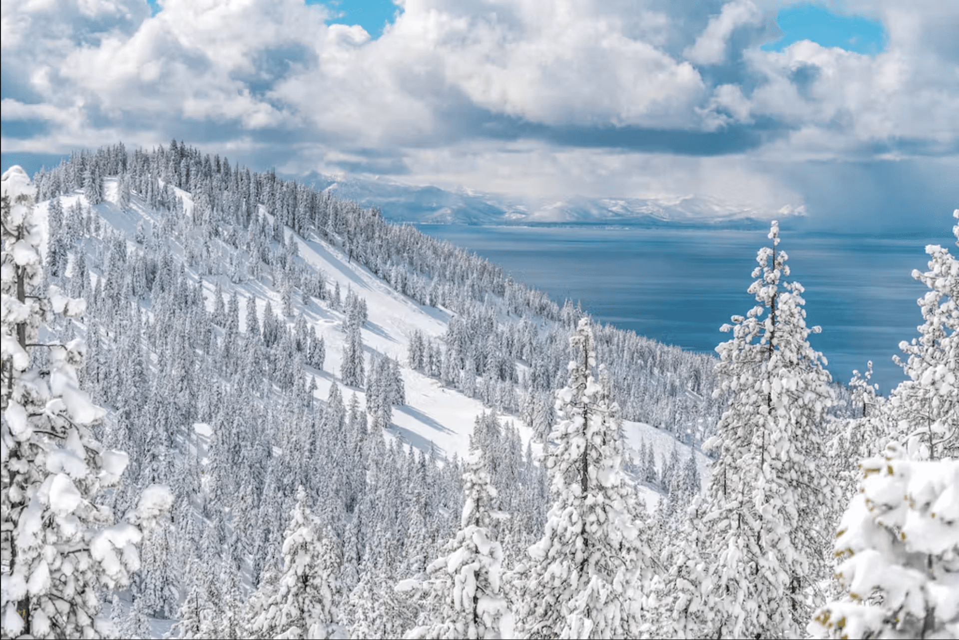 Among the Trees Home - Image 25