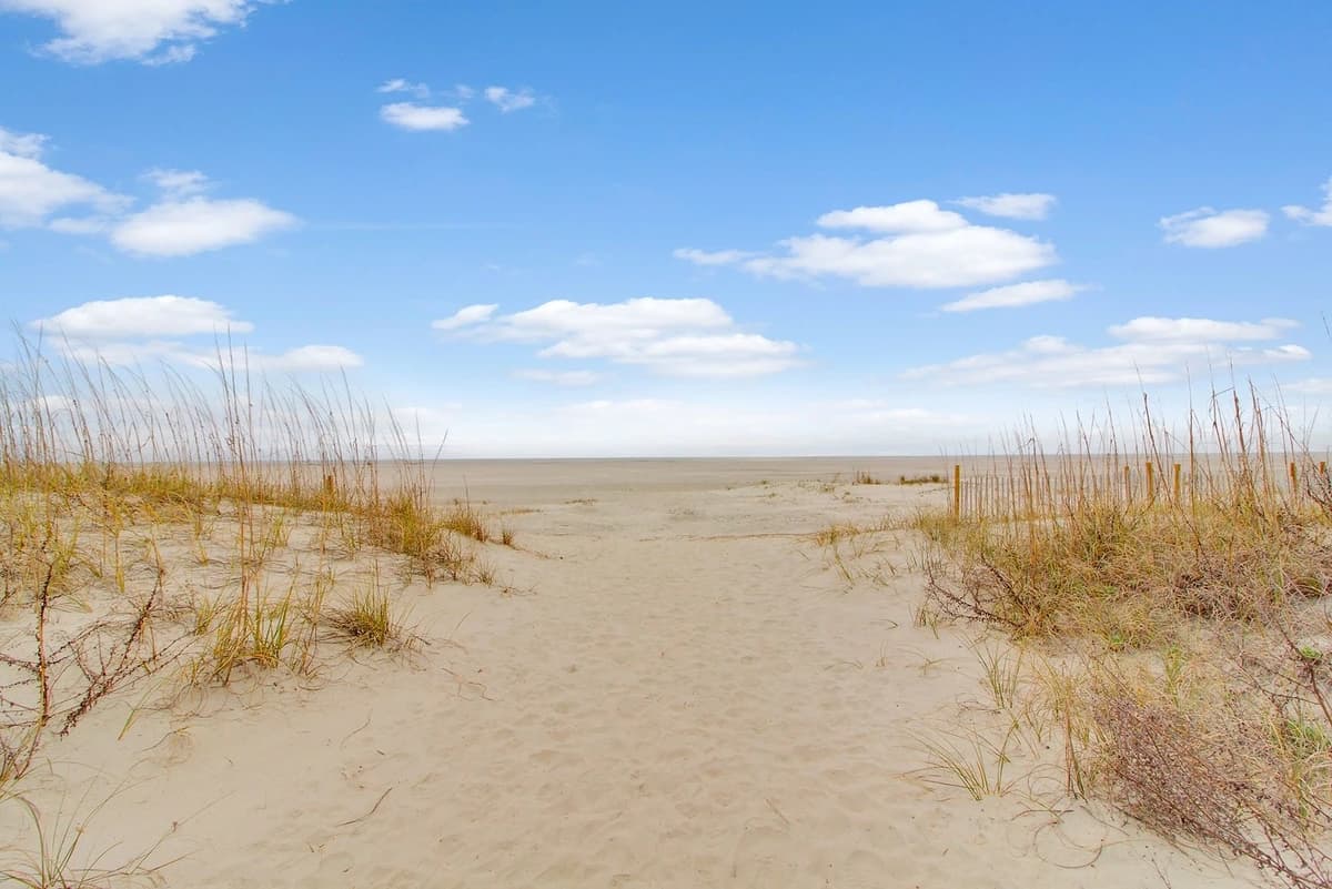 Port O Call #202D - Image 24