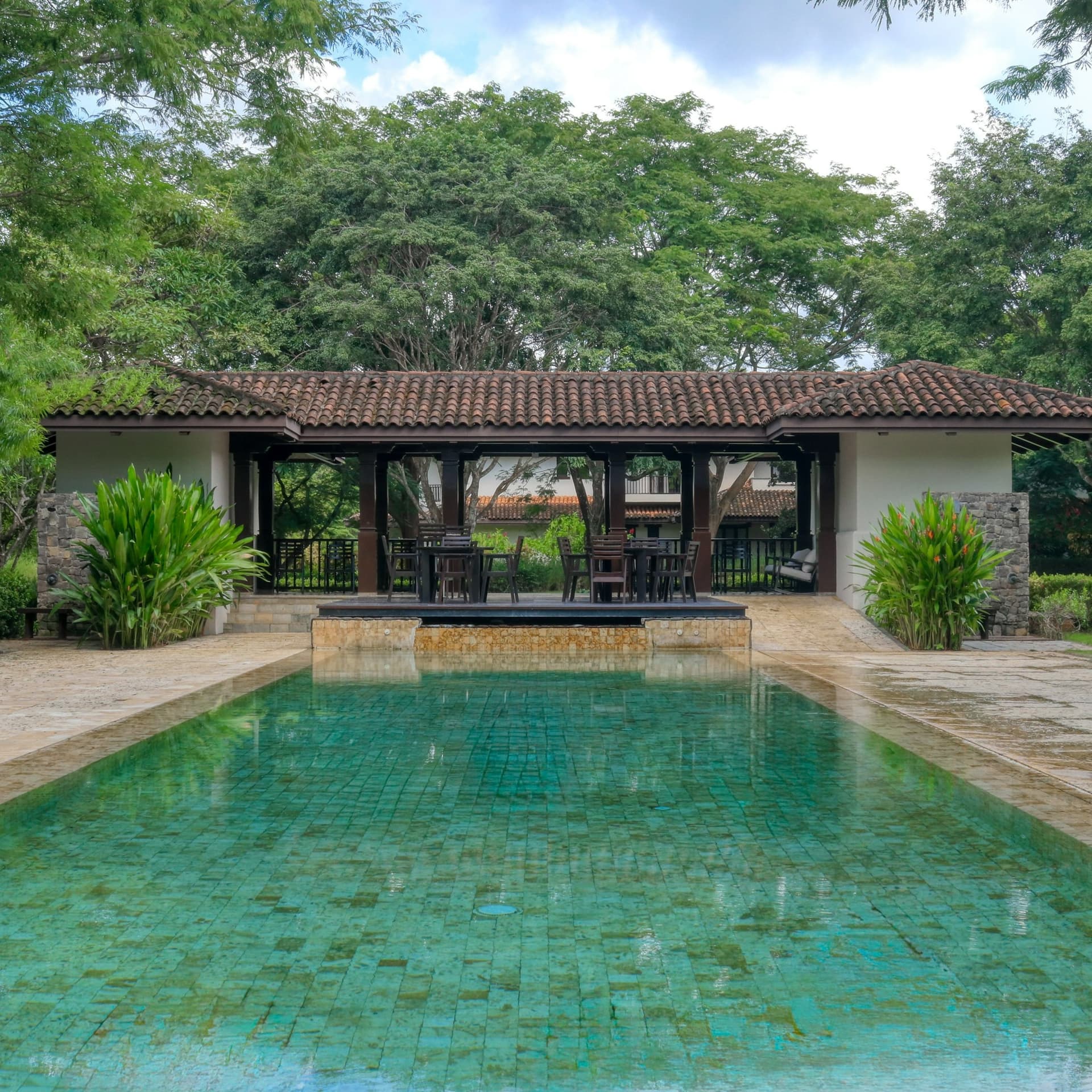 Pinilla Flor de Malinche - Image 1