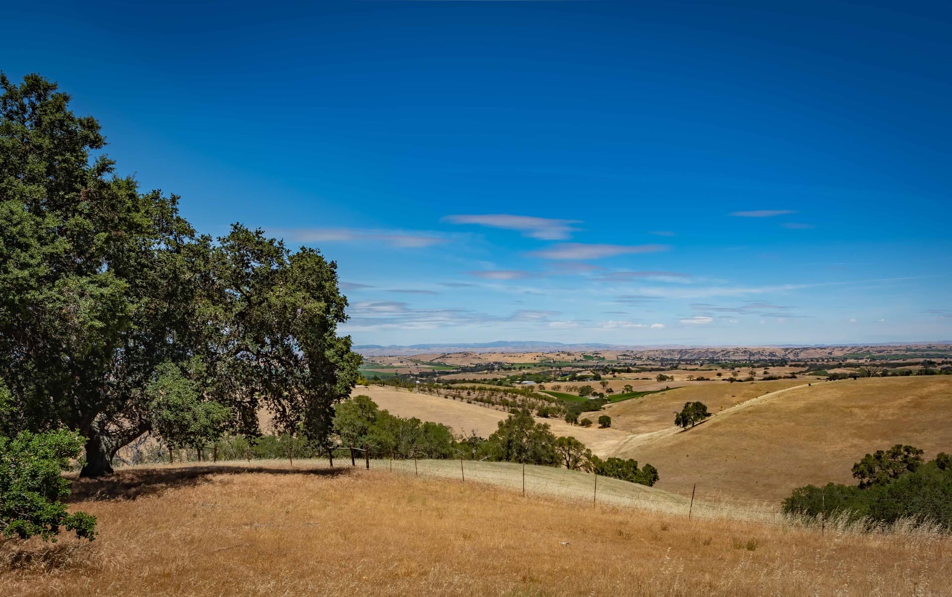 Hilltop Oasis Place - Image 55