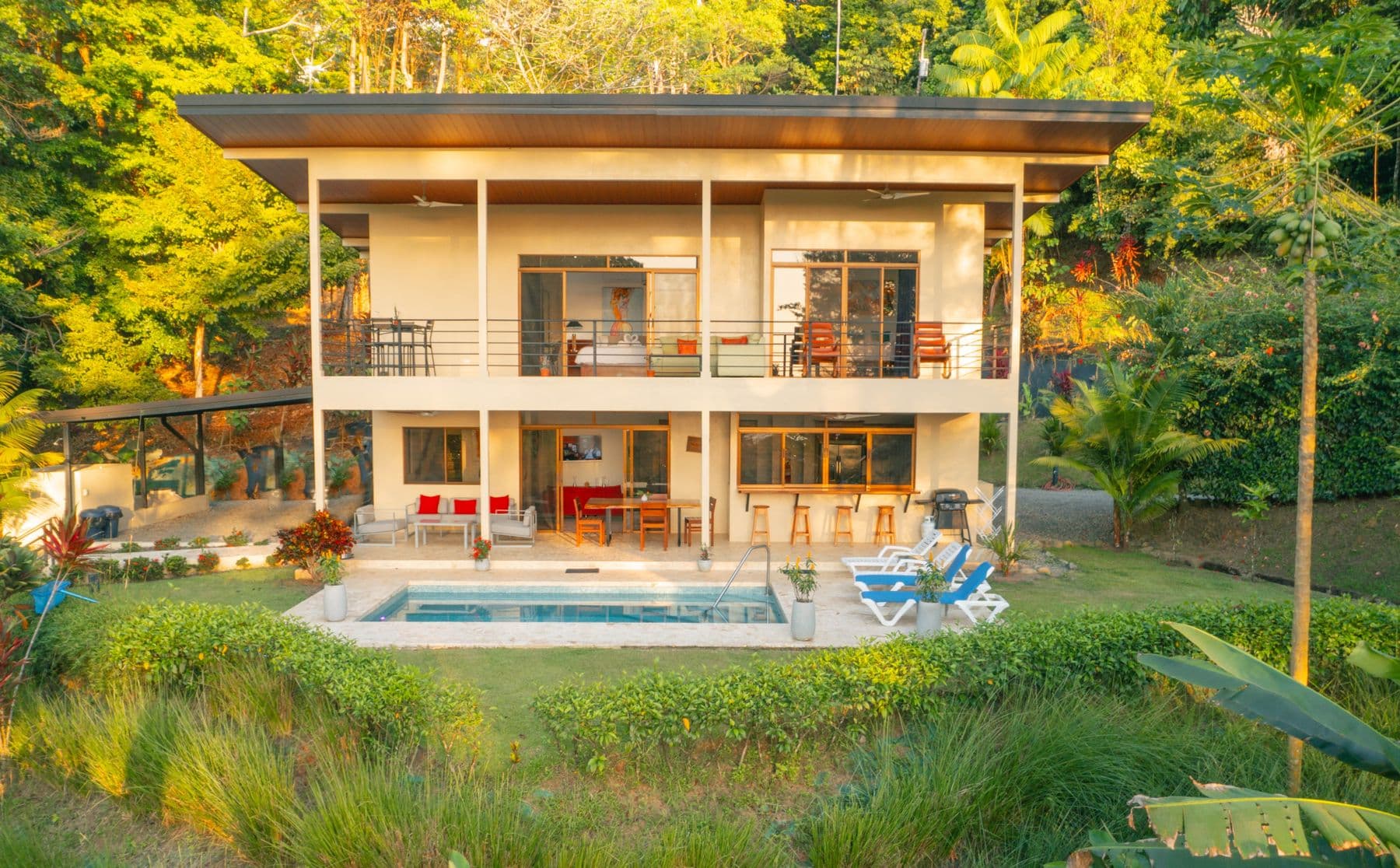 Ballena Bliss - Image 13