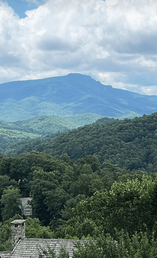 Hawthorn House - Image 2