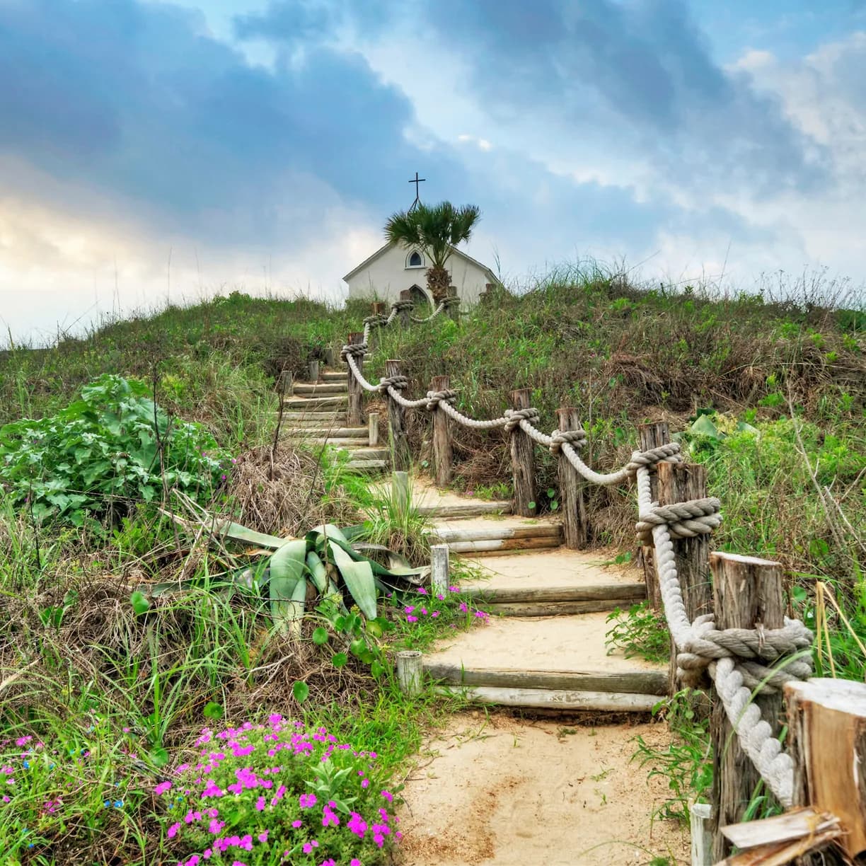 Wild Horse House - Image 44