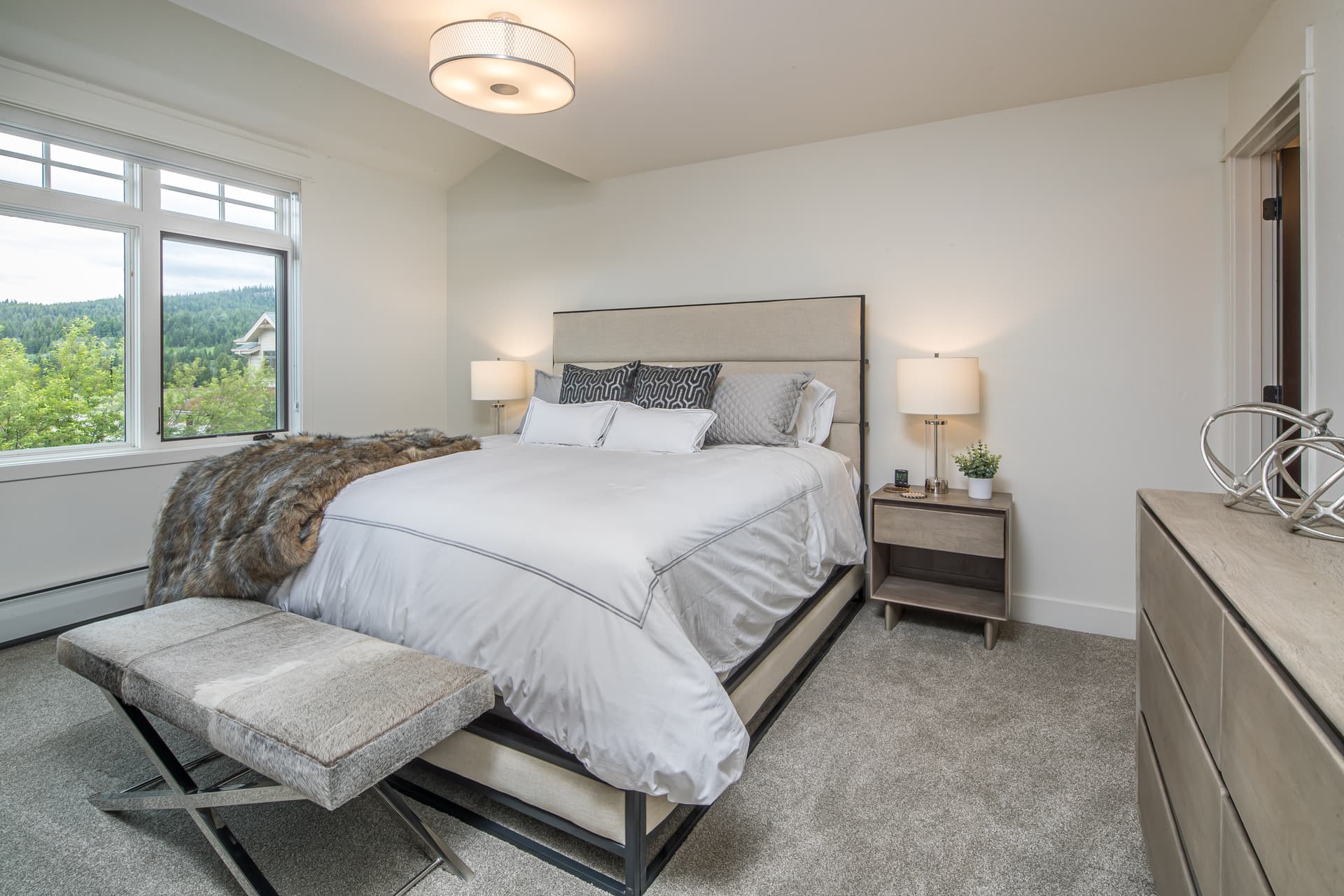 Cottonwood #5 - Image 5