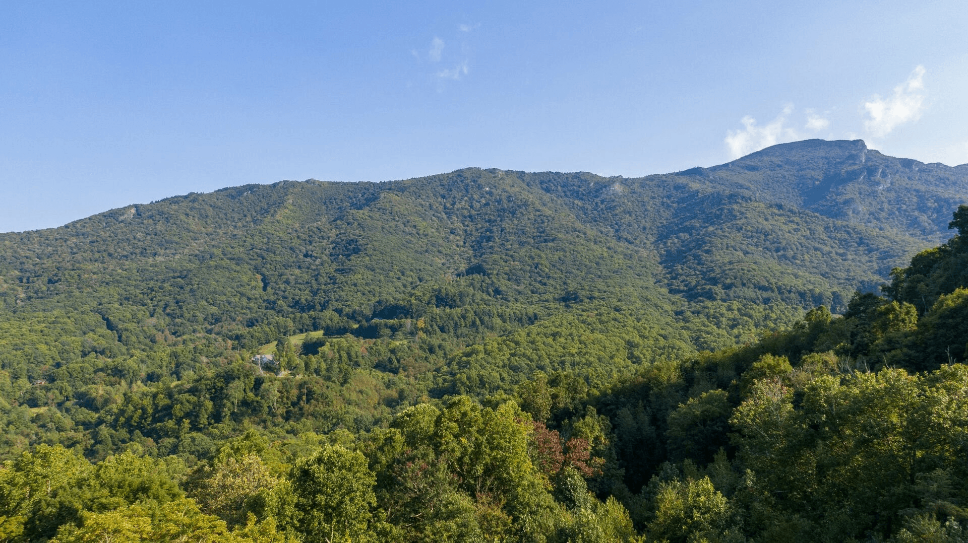 Little Bear Escape - Image 17