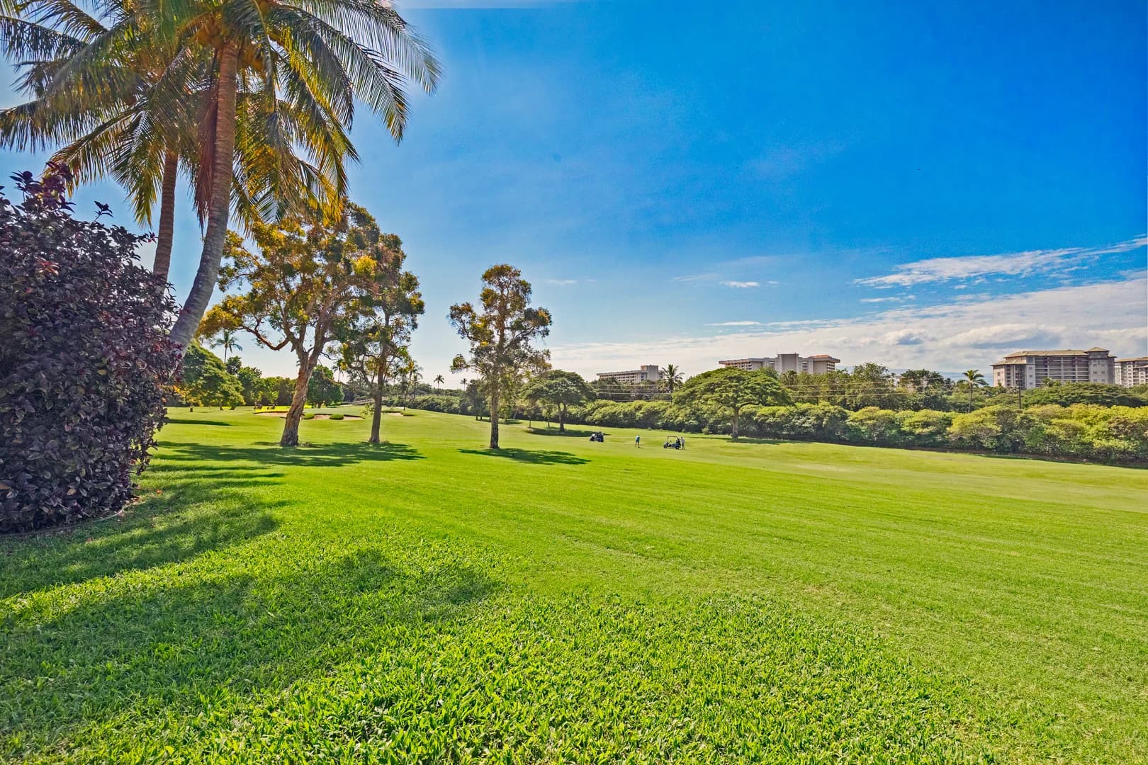 Hale Holokai Villa - Image 53