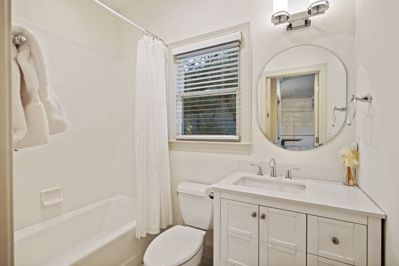 Silver Moss - Image 22